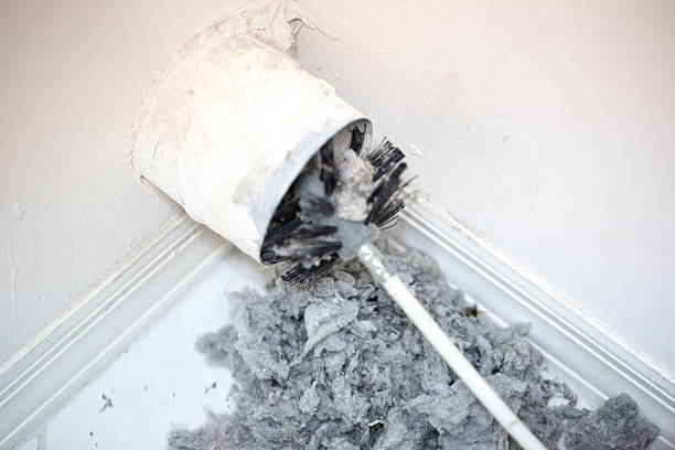 Best Mold and Mildew Removal from Ducts in Bonham, TX